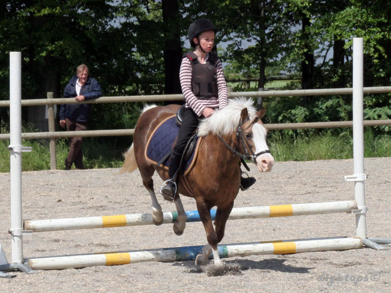 20090606_135958_0131_larsson_julia_princessan