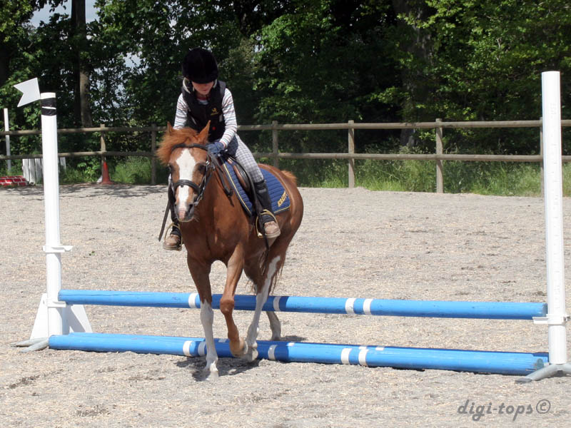 20090606_140736_0147_nilsson_sara_diva