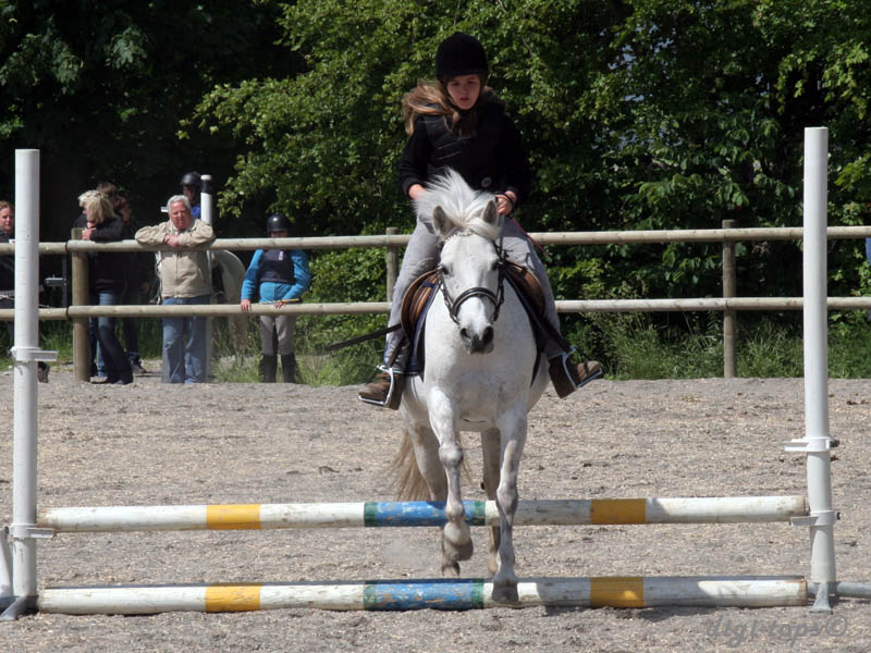 20090606_141012_0154_lindstam_tilde_lucy