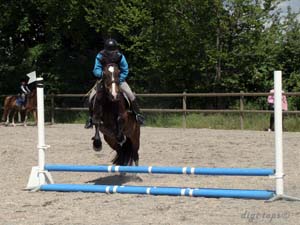 20090606_140540_0142_eriksen_isabell_brownie