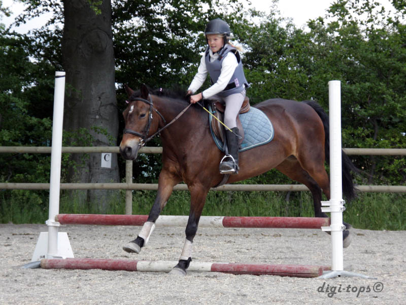 20090606_144630_0018_nielsen_ida_destiny