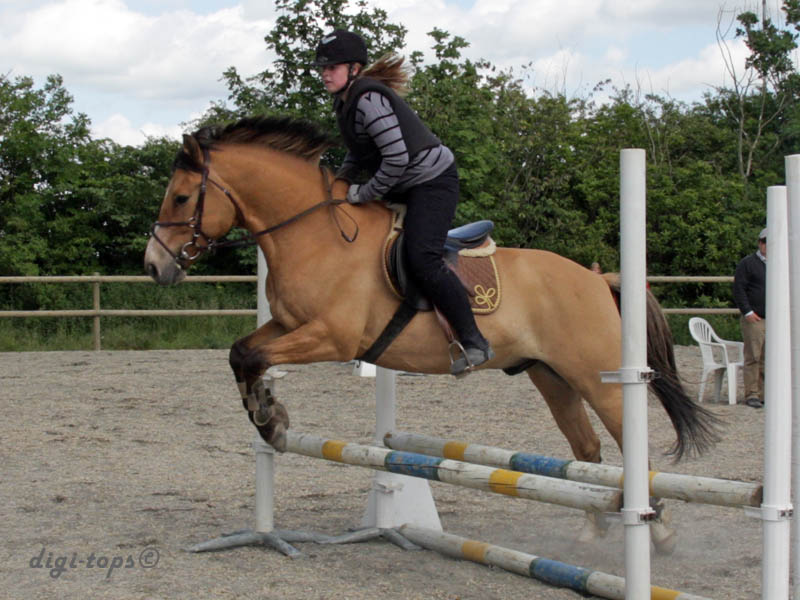 20090606_153044_0059_heander_erica_jh-frasse