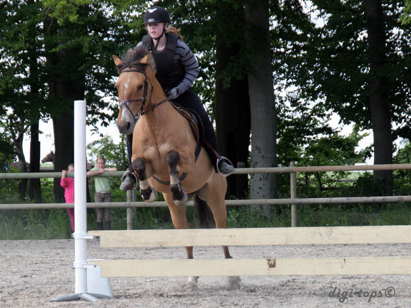 20090606_153108_0276_heander_erica_jh-frasse