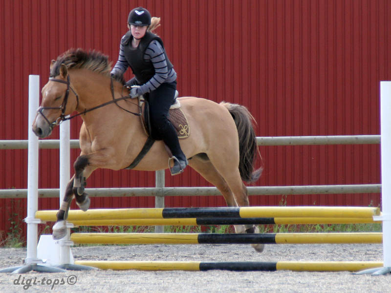 20090606_153130_0277_heander_erica_jh-frasse