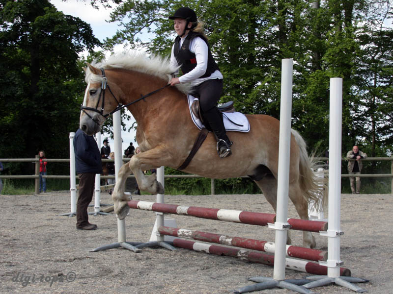 20090606_153254_0062_hylen_josephine_wilton