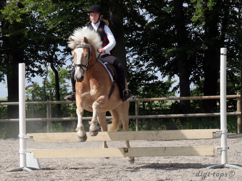 20090606_153346_0280_hylen_josephine_wilton