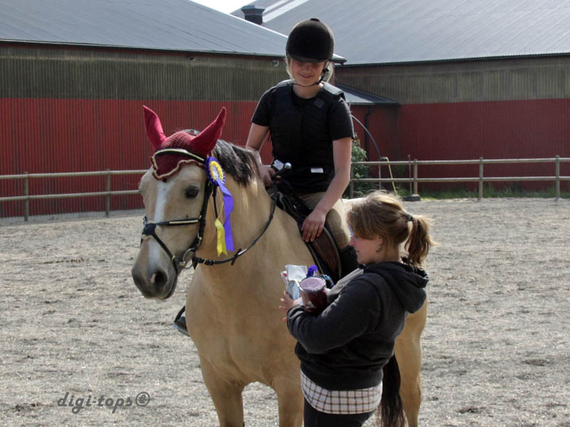 20090606_155744_0089_prisutdeln_60cm