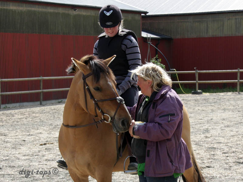 20090606_155830_0093_prisutdeln_60cm