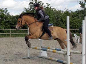 20090606_153044_0059_heander_erica_jh-frasse