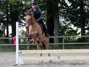 20090606_153108_0276_heander_erica_jh-frasse