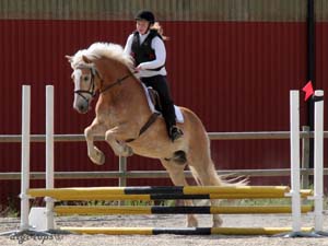 20090606_153404_0281_hylen_josephine_wilton