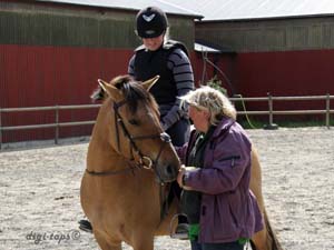 20090606_155830_0093_prisutdeln_60cm