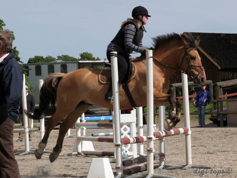 20090606_161836_0326_heander_erica_jh-frasse