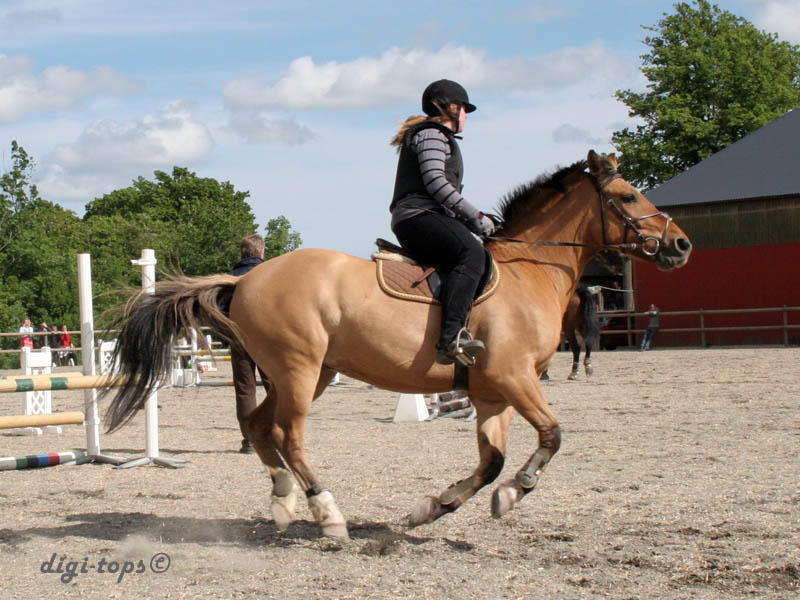 20090606_161904_0327_heander_erica_jh-frasse