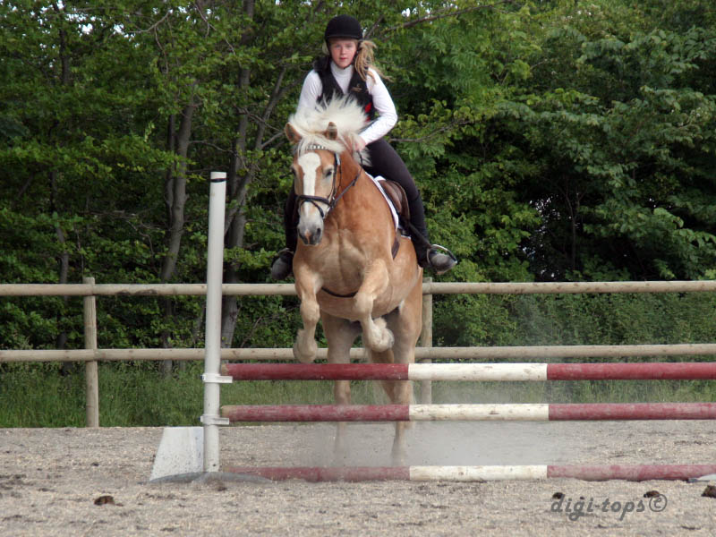 20090606_162348_0338_hylen_joesphine_wilton