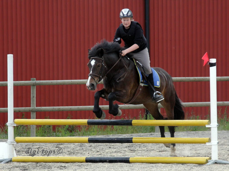 20090606_162516_0121_johansson_hugo_brownie