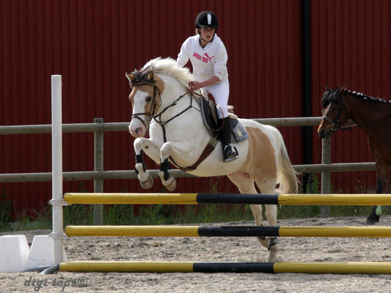 20090606_163108_0133_truedsson_lisa_gizmo