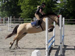 20090606_161514_0100_tynell_andrea_nellie