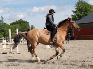 20090606_161904_0327_heander_erica_jh-frasse