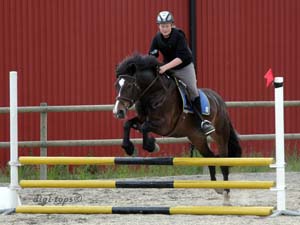 20090606_162516_0121_johansson_hugo_brownie