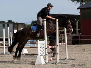 20090606_165342_0370_johansson_hugo_brownie