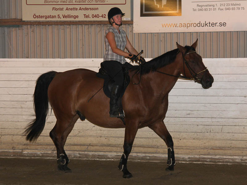 20090818_194834_0029