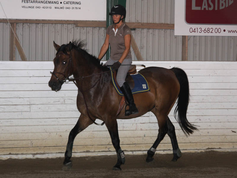 20090818_195404_0033