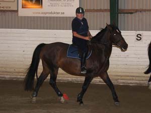 20090818_195648_0041