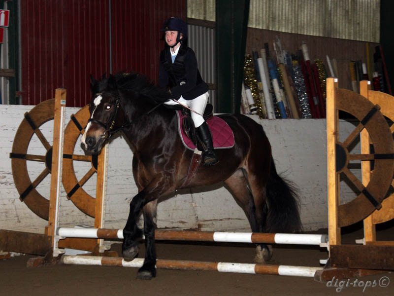 20091227_115306_0070 vera hinderoth brownie