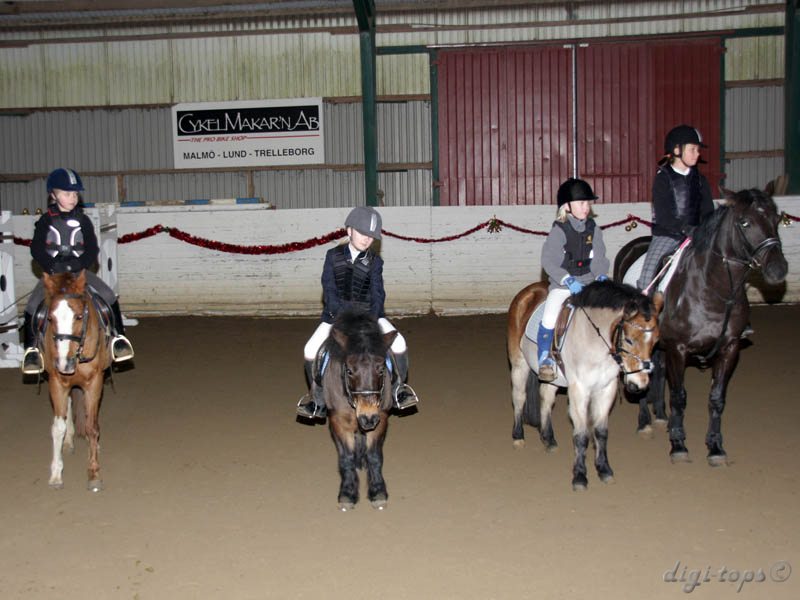 20091227_115920_0081