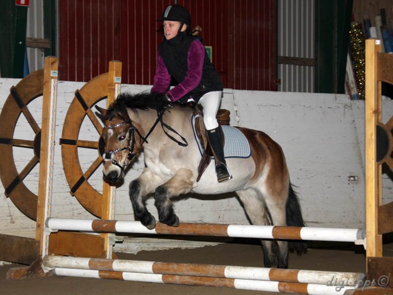 20091227_123346_0124 emmie norin maja