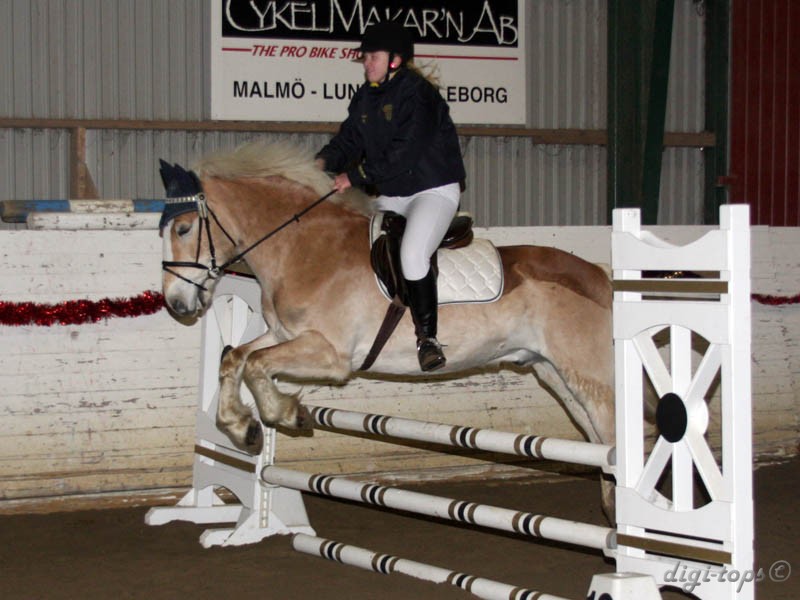 20091227_140406_0228 josephine hylen wilton