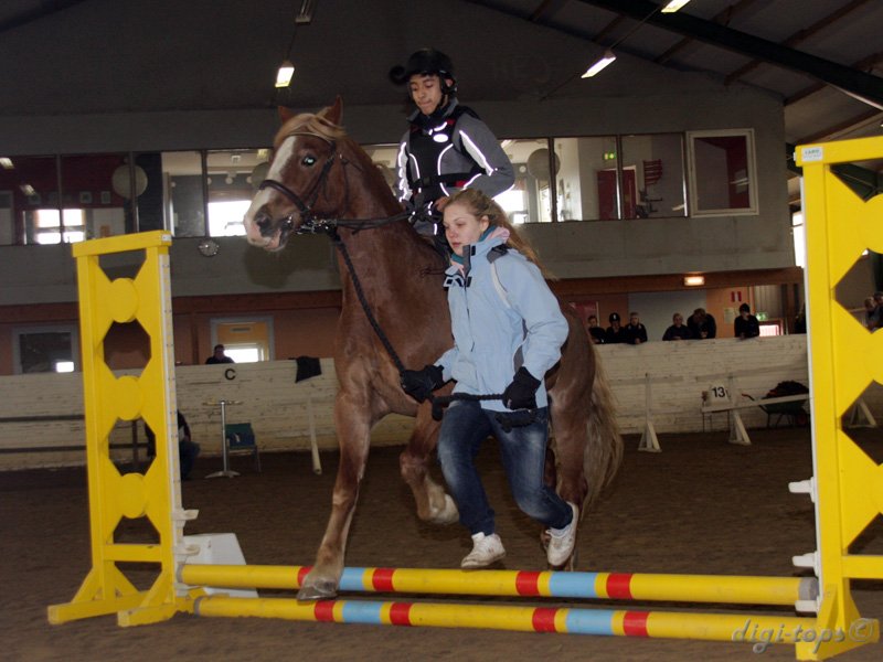 20100513_111646_0026 Gabriel Hermansson Red Prince