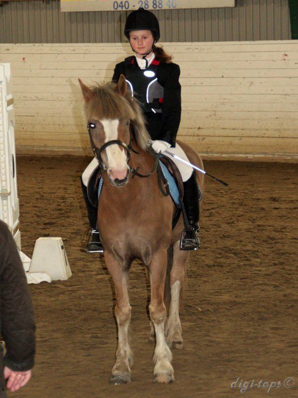 20100513_124334_0041