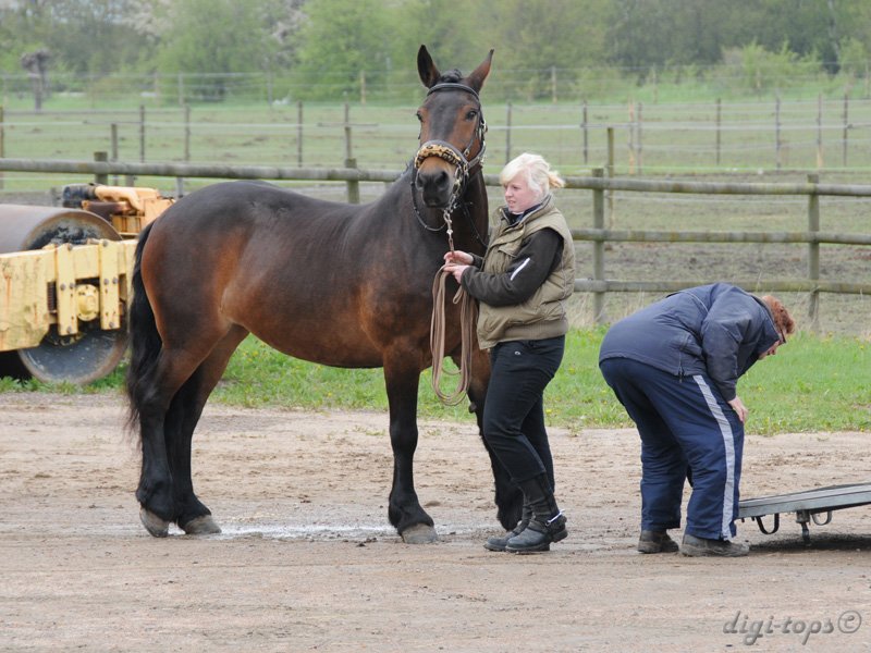 20100513_104600_0005