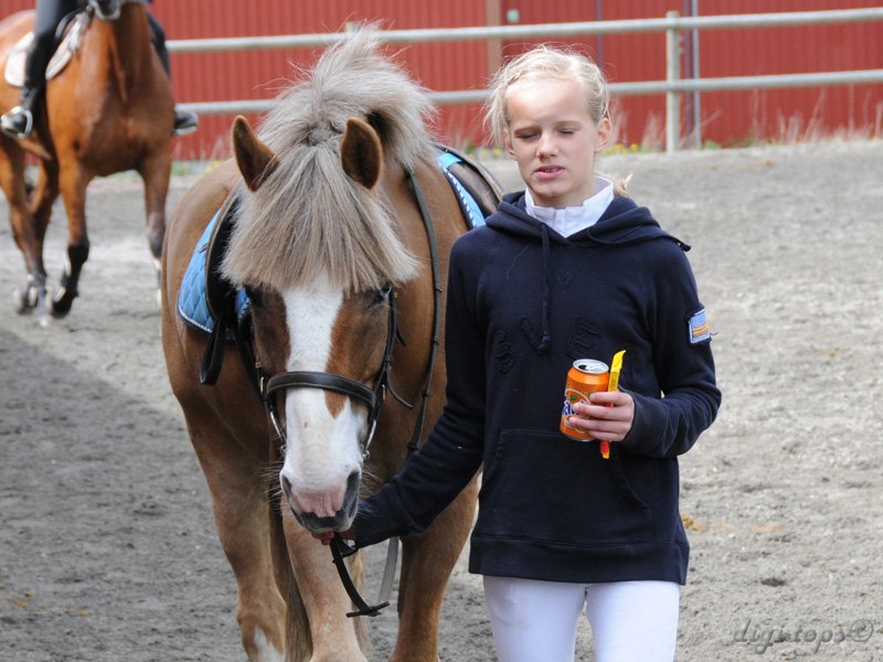 20100513_125356_0052