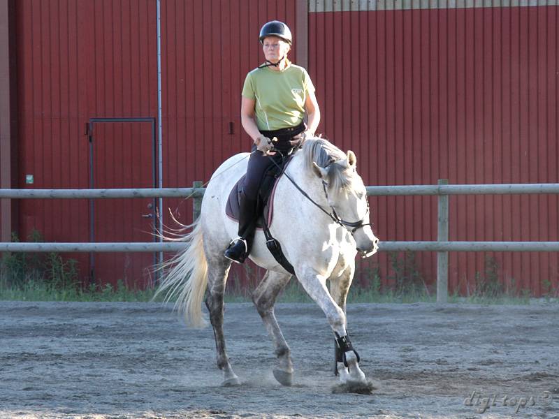 20100616_195002_0005