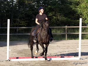 20100616_200018_0027