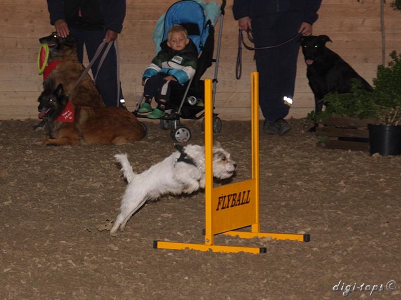 20111016_135546_0185