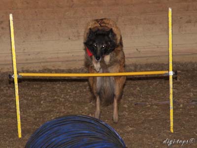 20111016_134806_0176