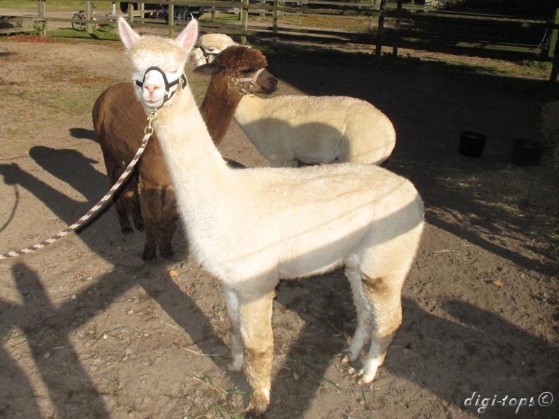 01_20111016_142230_0048