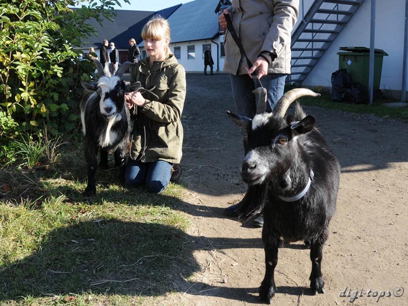 02_20111016_142969_2185