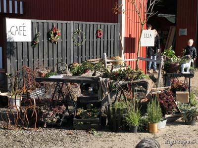 03_20111016_104954_0006