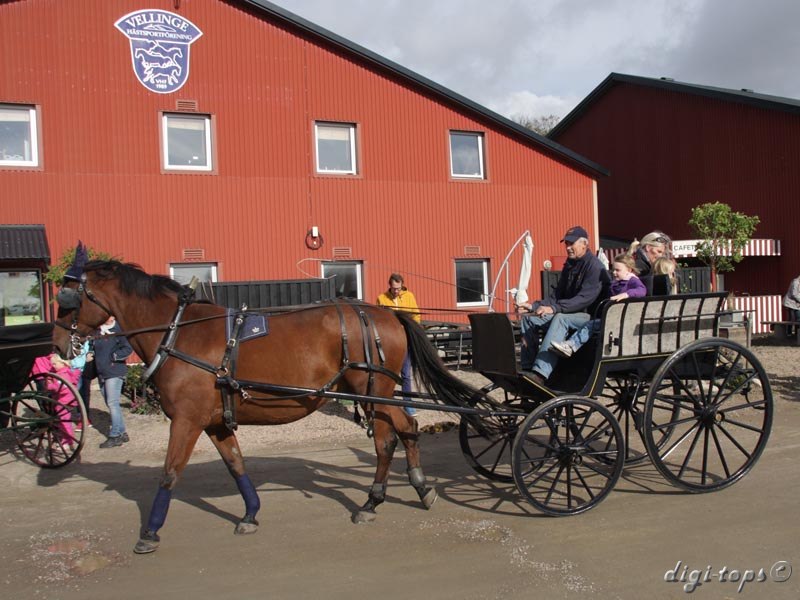 20121007_122416_0005