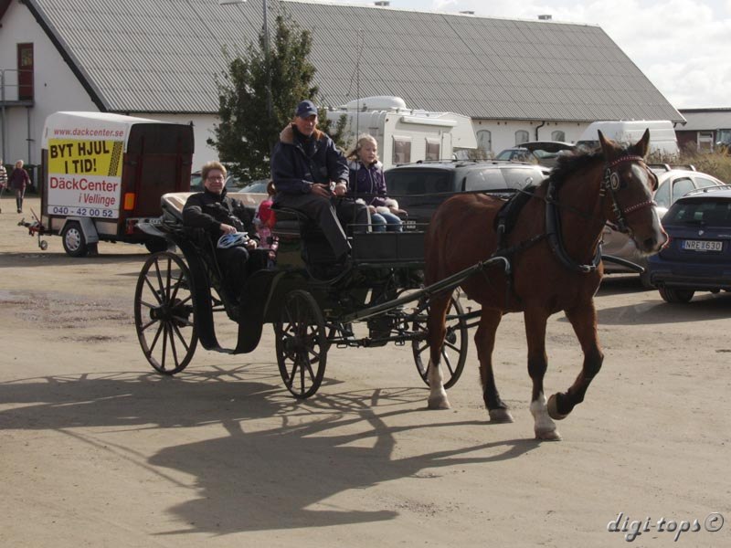 20121007_123716_0033