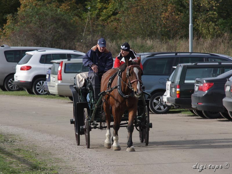 20121007_124654_0045