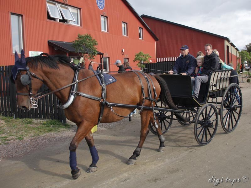 20121007_125900_0064