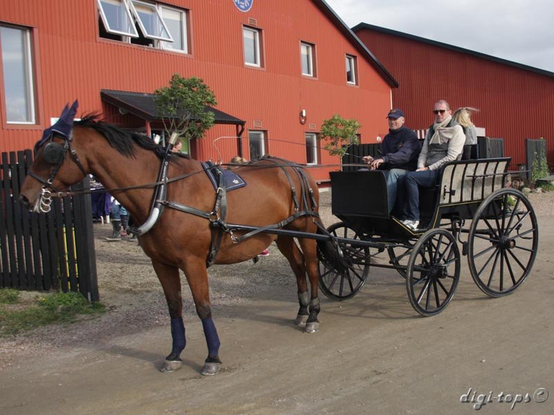 20121007_130358_0072