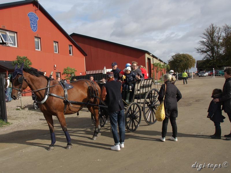 20121007_131806_0094