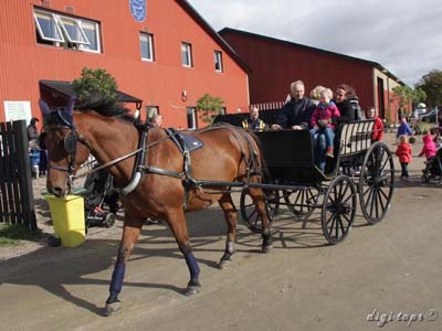 20121007_123426_0028